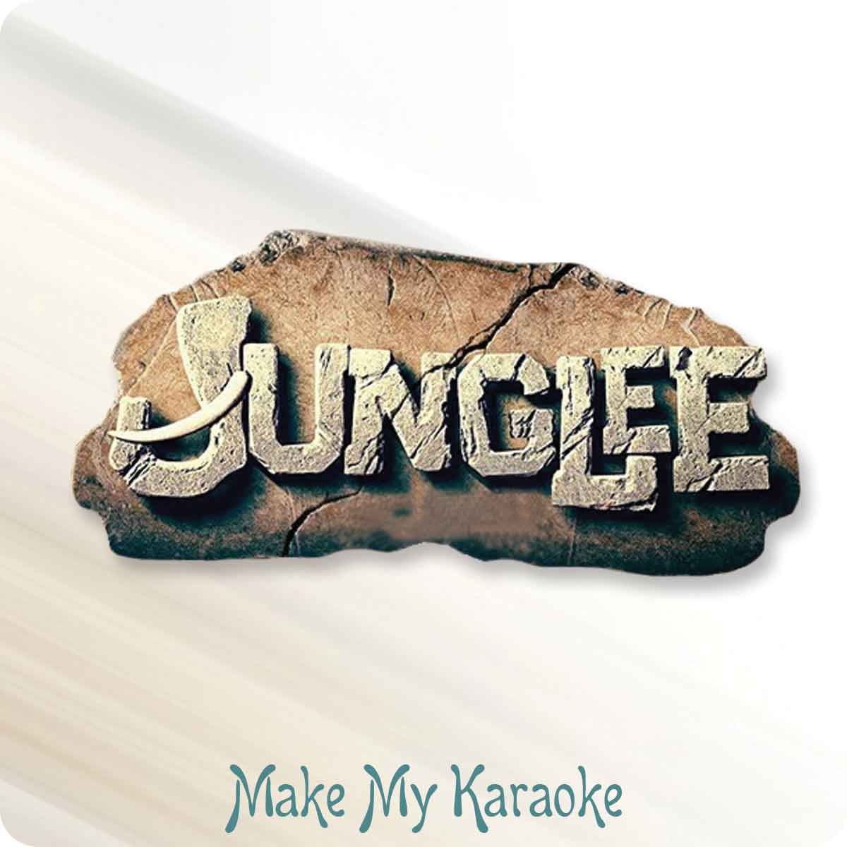 Dosti Karaoke | Junglee Karaoke