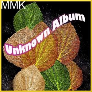 Ye Shorish Ye Junoon Hai - Unknown Album (MP3 and Video-Karaoke  Format) 