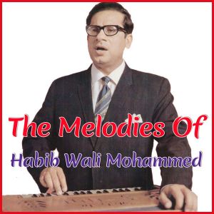 Raatein Thi Chandani - The Melodies Of Habib Wali Mohammed