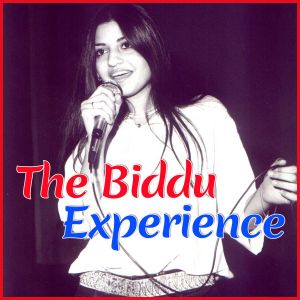 Boom Boom - The Biddu Experience (MP3 and Video Karaoke Format)