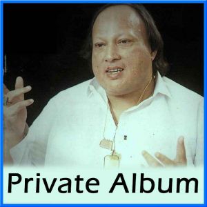 Tere Bin Nahi Lagda -Remix- Private Album