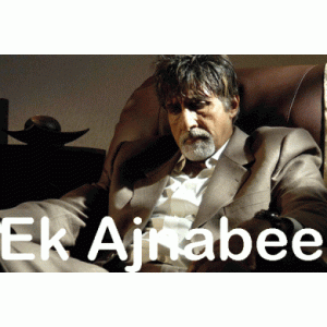 Tere Liye Meri Saansein - Ek Ajnabee