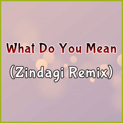 What Do You Mean (Zindagi Remix)