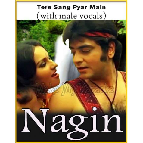 Tere Sang Pyar Main (With Male Vocals) - Nagin