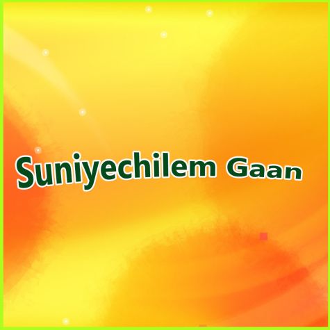 Aloker Ei Jhorna Dharai | Suniyechilem Gaan | Subrata Sengupta | Buy Bangla Karaoke Songs |