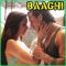 Sab Tera - Baaghi