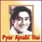 Pyar Ajnabi Hai - Pyar Ajnabi Hai (MP3 and Video Karaoke Format)